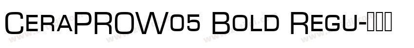 CeraPROW05 Bold Regu字体转换